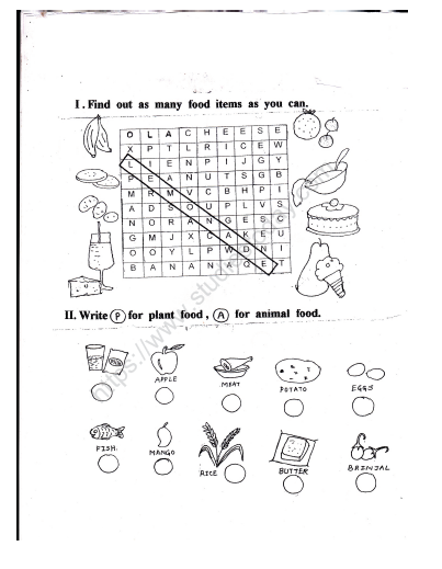 CBSE Class 2 EVS Our Food Worksheet